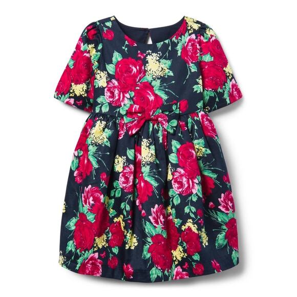 NWOT Janie and Jack $98 Black/Red Floral Dress ( 3T ) - Picture 1 of 9